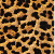 WILD LEOPARD